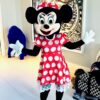 Minnie Mouse Mascot Lookalike Party Entertainer