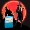 Witch Kid’s Entertainer London