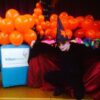 Wizard Themed Party Entertainer London