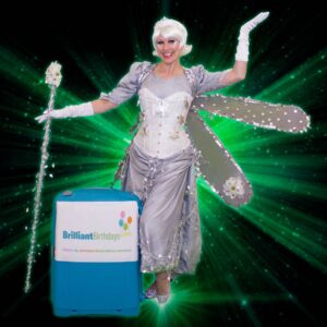 Silver Fairy Themed Party Entertainer London