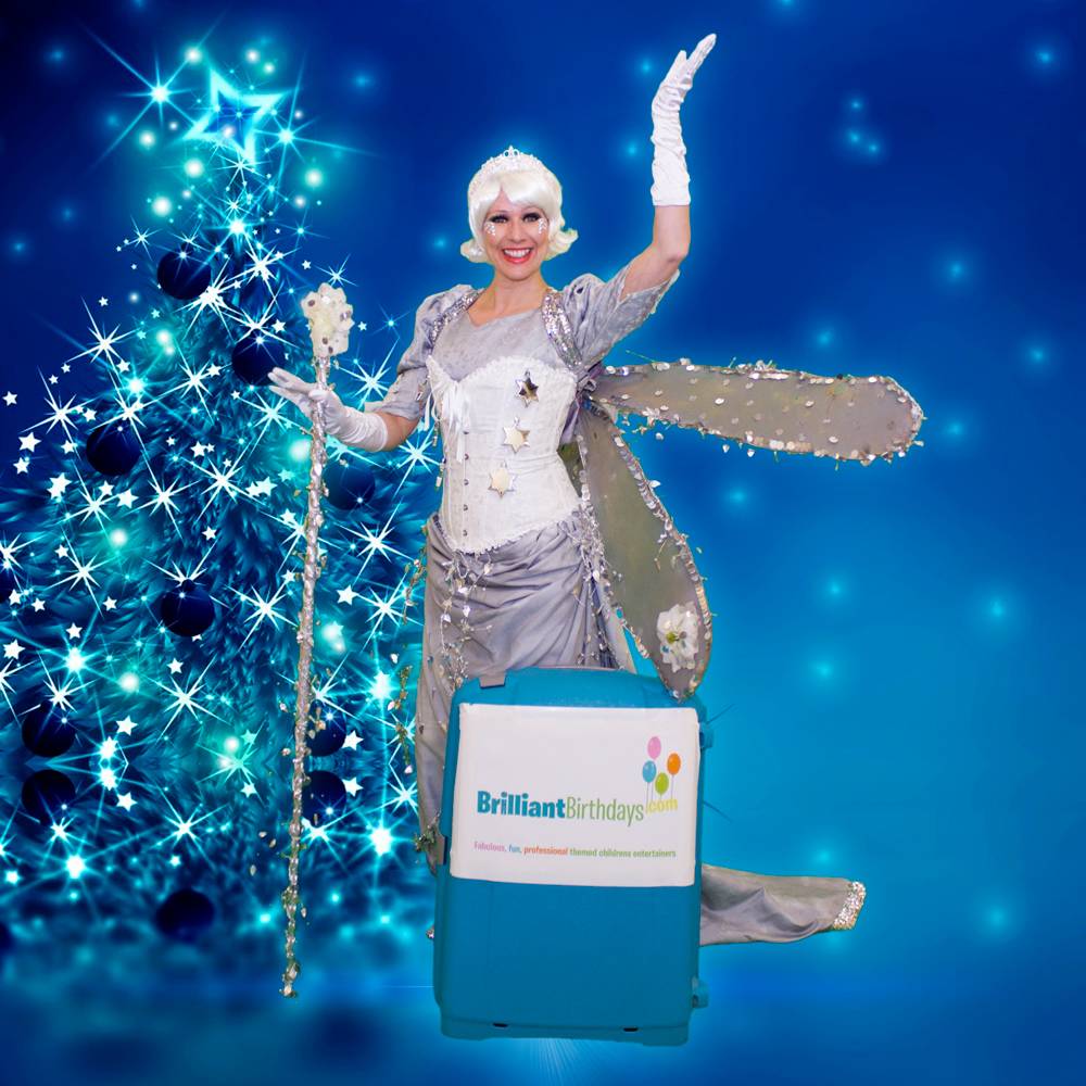 Brilliant Birthdays Christmas Fairy entertainer