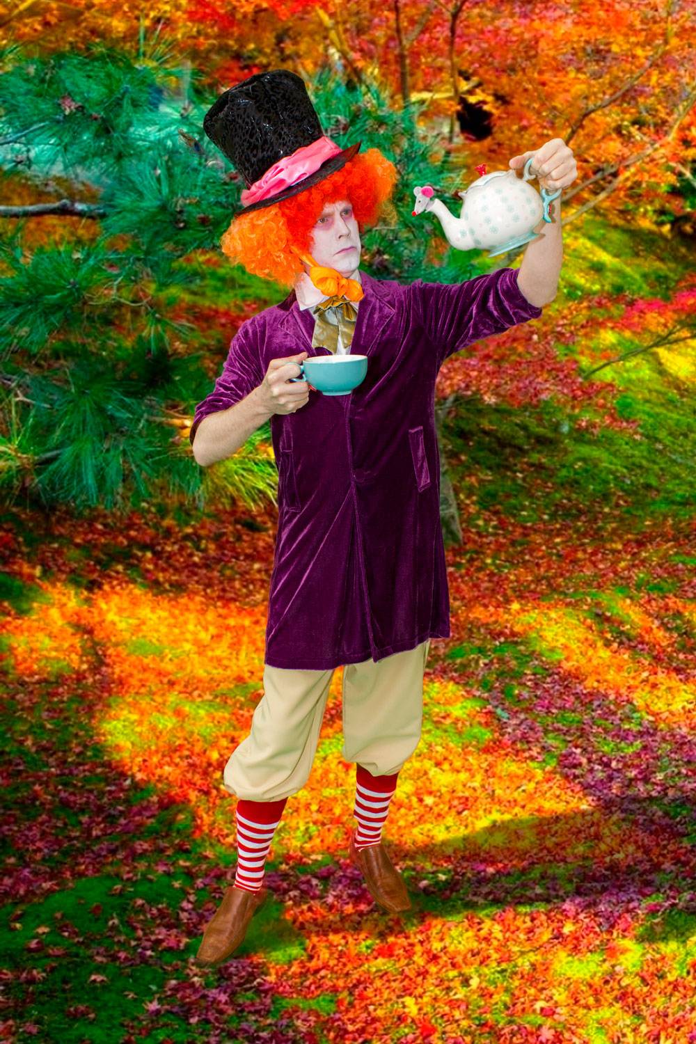 Brilliant Birthdays Mad Hatter Wonderland party entertainer